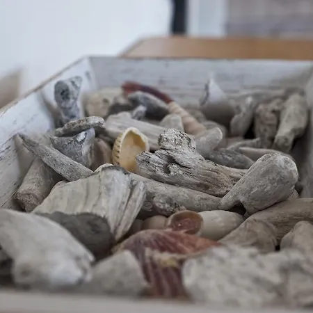 Σπίτι διακοπών 